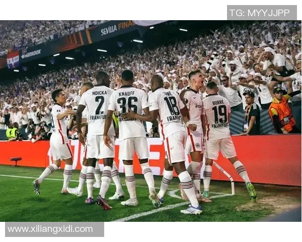 欧冠门票系统瘫痪数万球迷苦等12小时争抢梦寐以求的门票