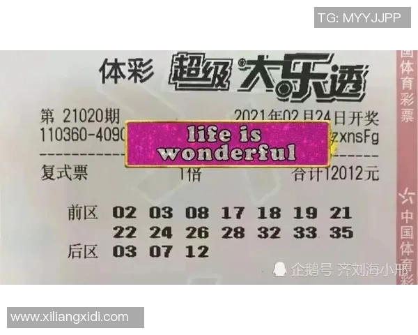 乐透乐论坛揭秘中奖秘籍与购彩技巧分享，助你轻松赢得大奖的秘诀