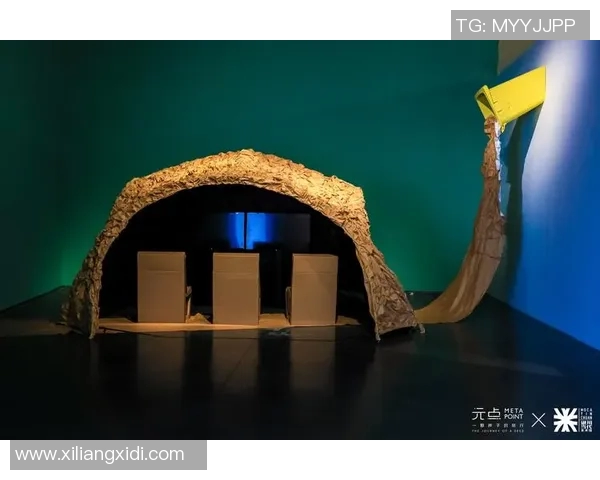 圣何塞地震与新英格兰革的影响与启示探讨