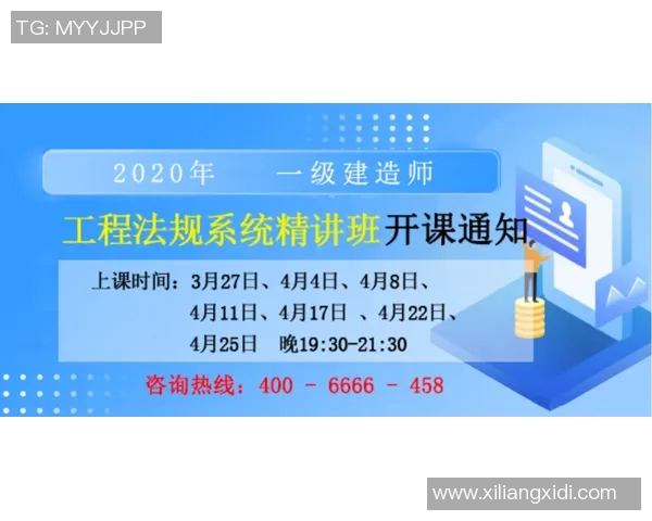 深入理解三从一大的历史意义与现实价值探讨