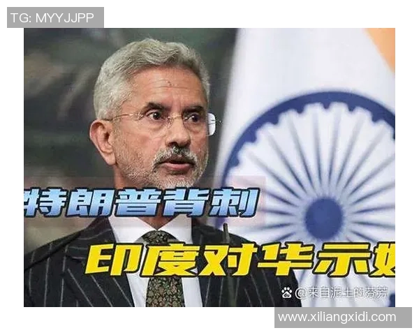 张宁在国际舞台上的崛起与成就探讨以及对未来发展的展望